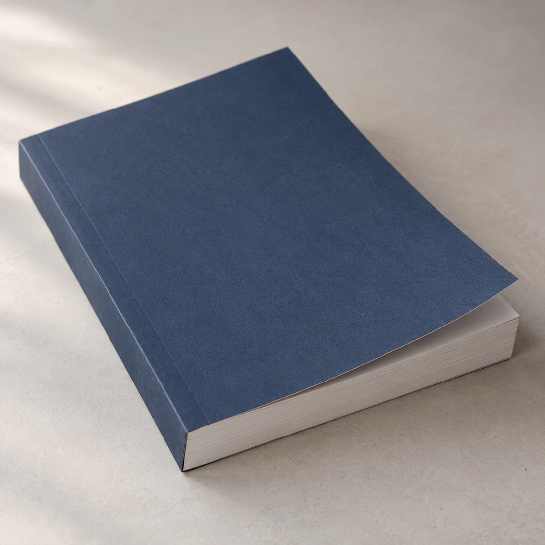 Exemple de livre : Couverture souple
